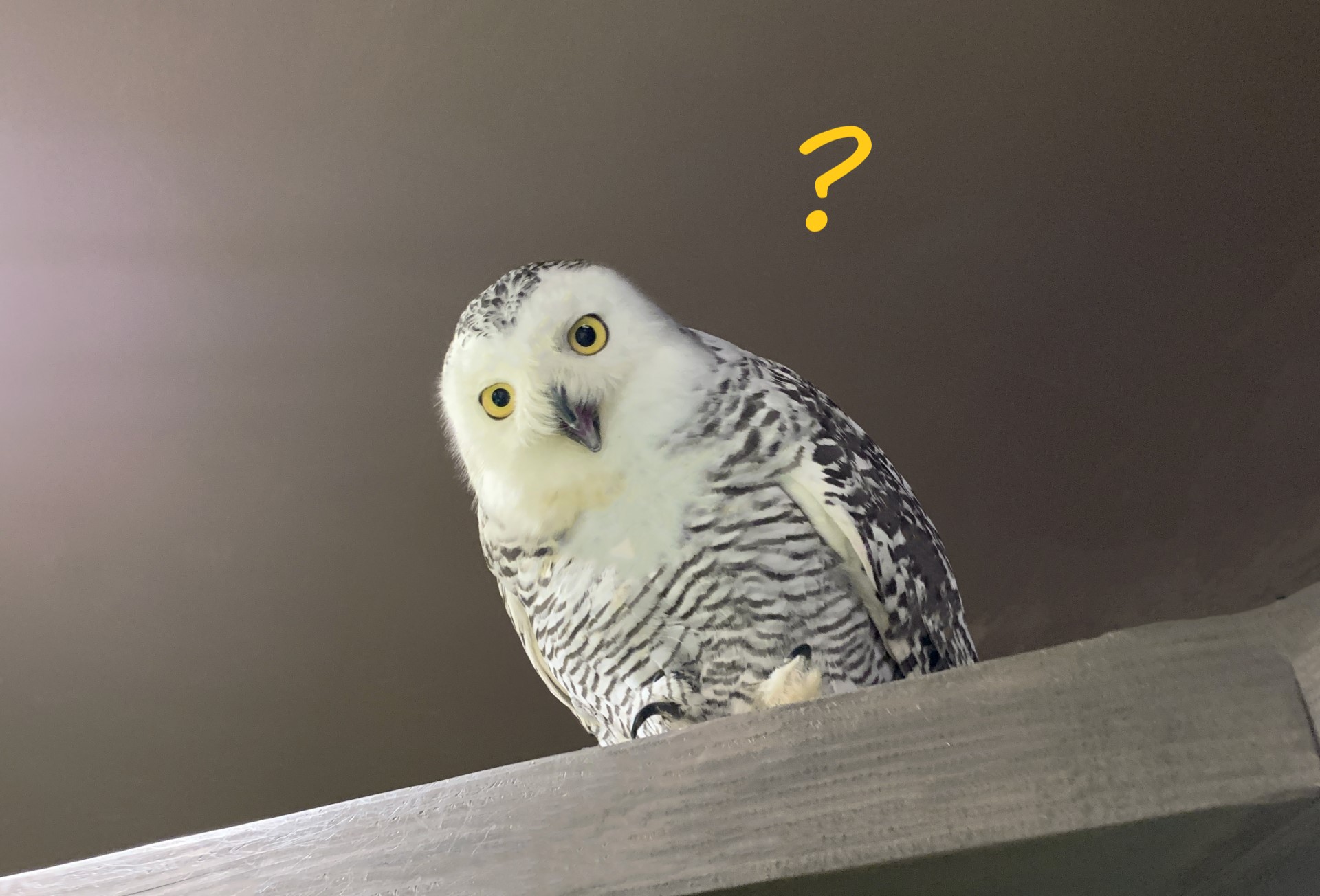 「なんとなく見にくい」を改善するには？改善のコツをお伝えします！